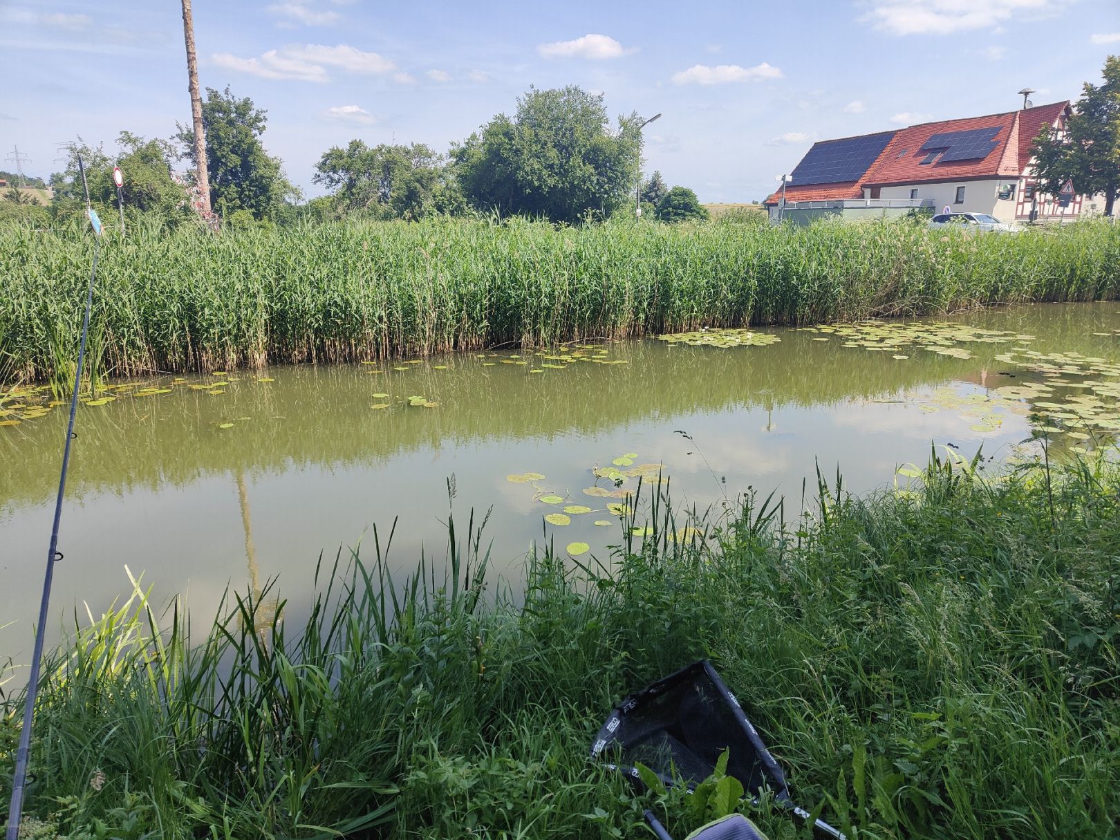 Ludwig-Donau-Main-Kanal (Schwarzenbach) angeln