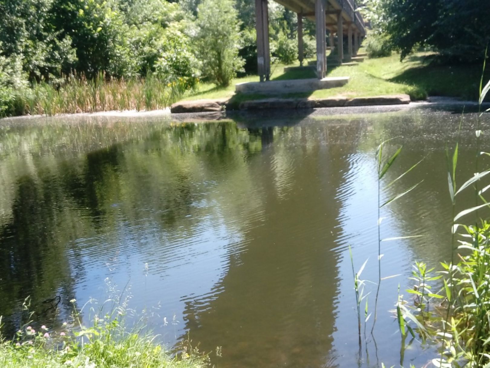Kalkgraben (Rüdersdorf) angeln