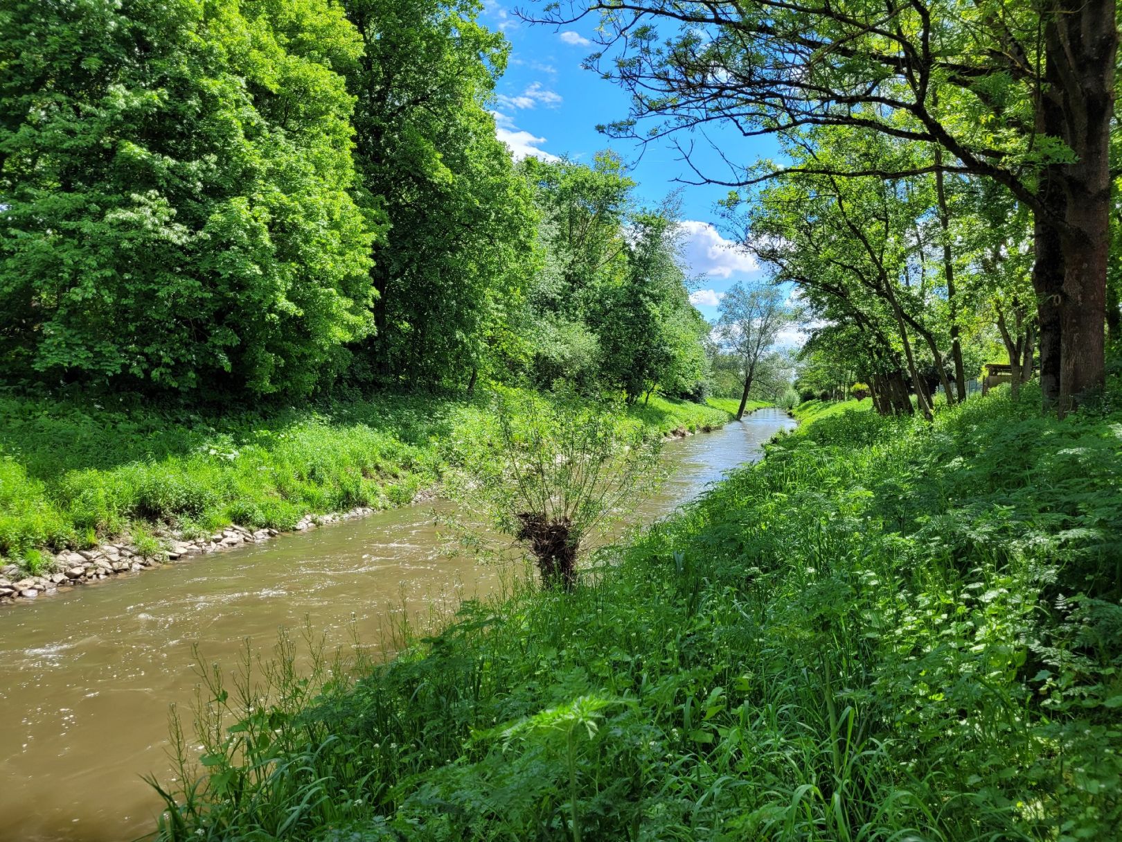 Nidda (Assenheim) angeln