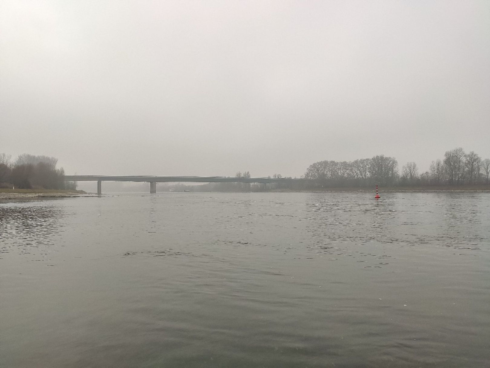 Rhein (Germersheim) angeln