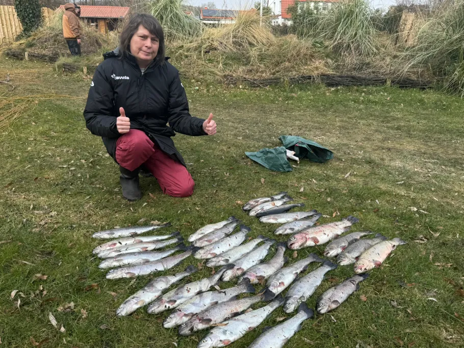 Angelteich des Fischhandels Meyenburg (Lähden) angeln