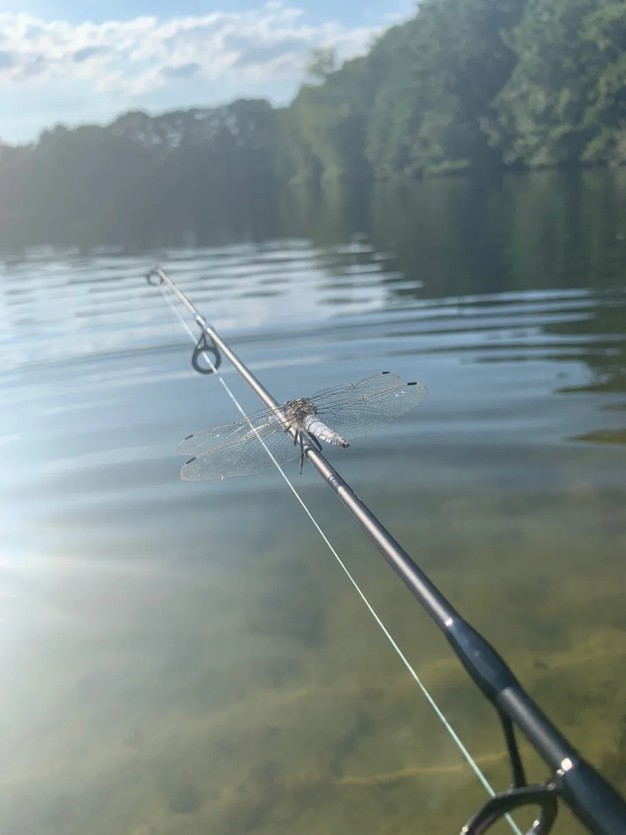 Baggersee Collinghorst angeln