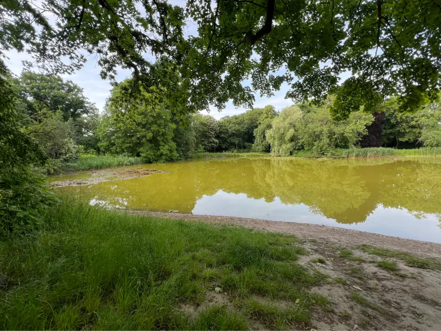 Parkteich Stünz angeln