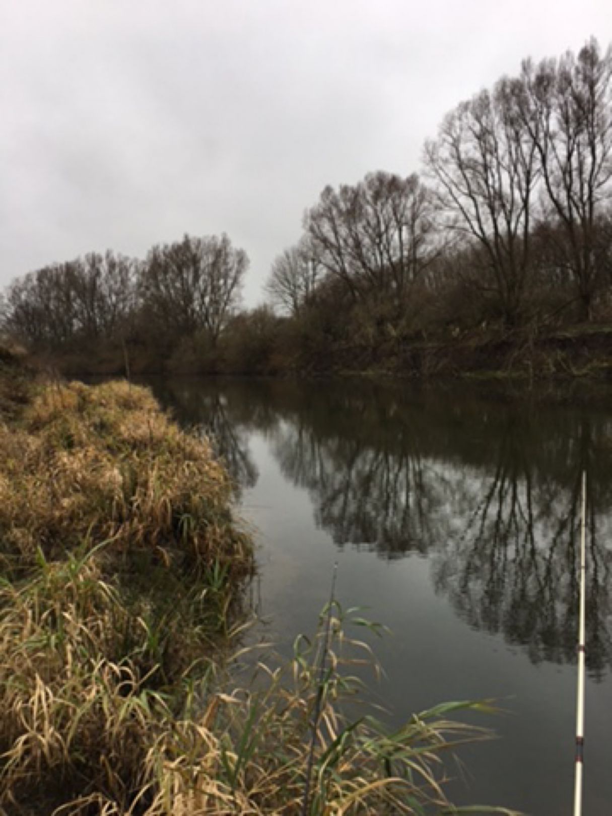 Lippe (Haltern am See) angeln