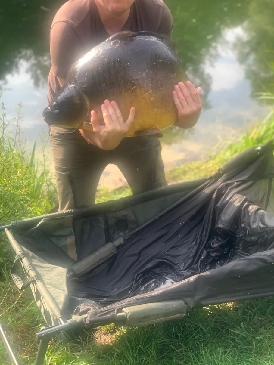 Lippe (Haltern am See) angeln