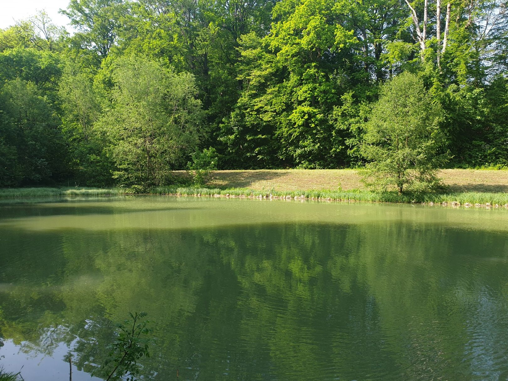 Klosterteiche Anrode angeln