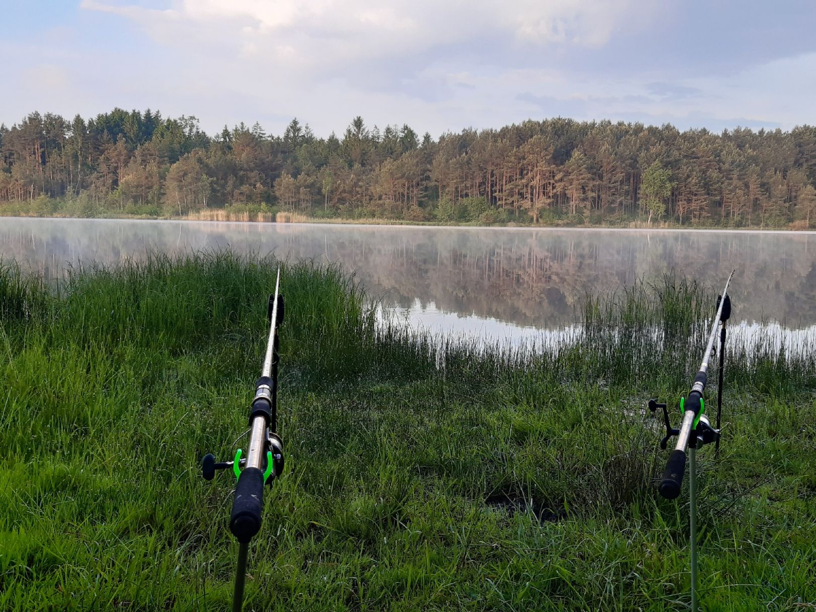 Kammerweiher (Roding) angeln