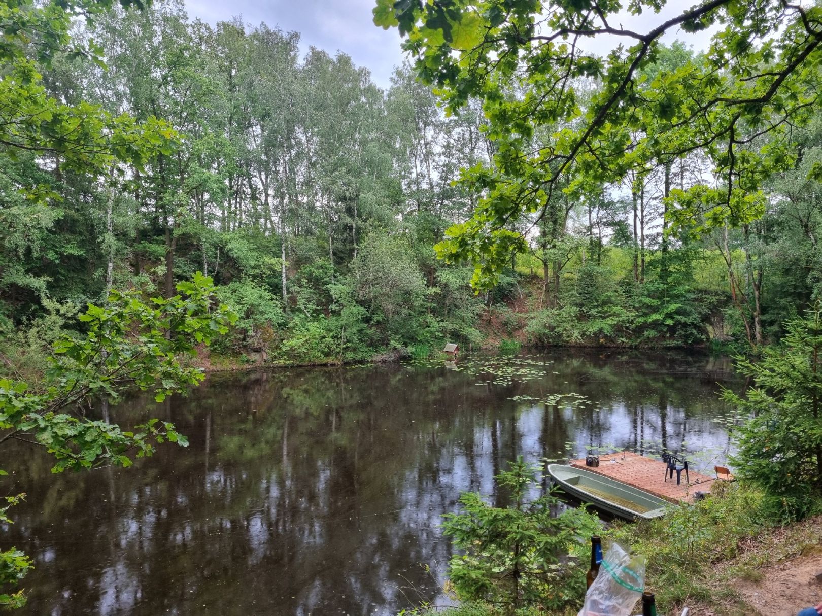 Rosensee (Auerbach) angeln