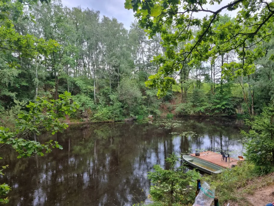 Rosensee (Auerbach) angeln