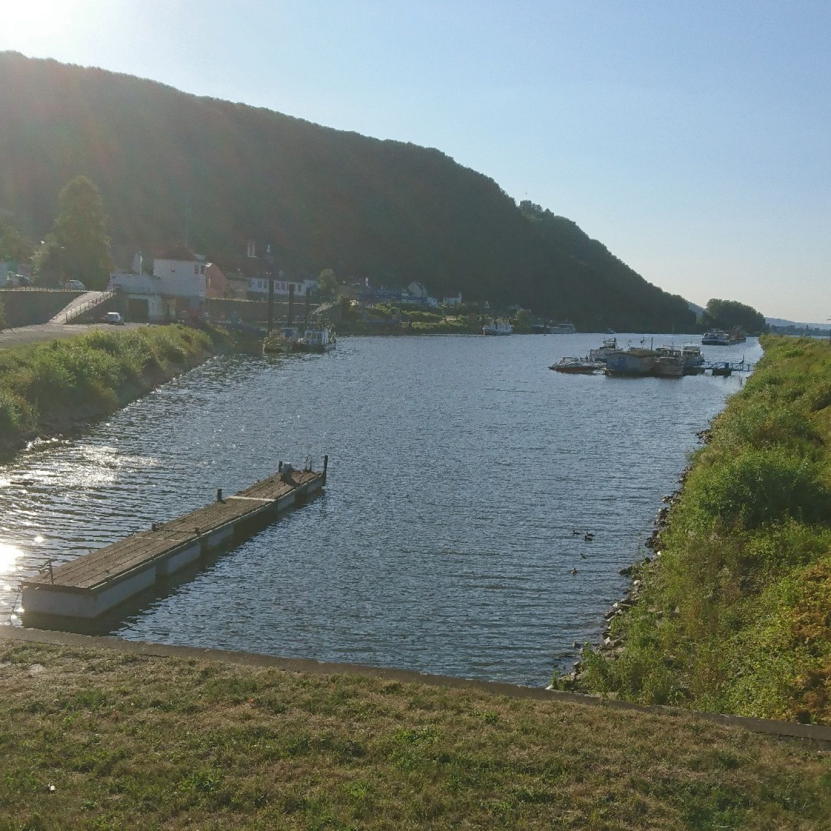Rheinhafen Brohl angeln
