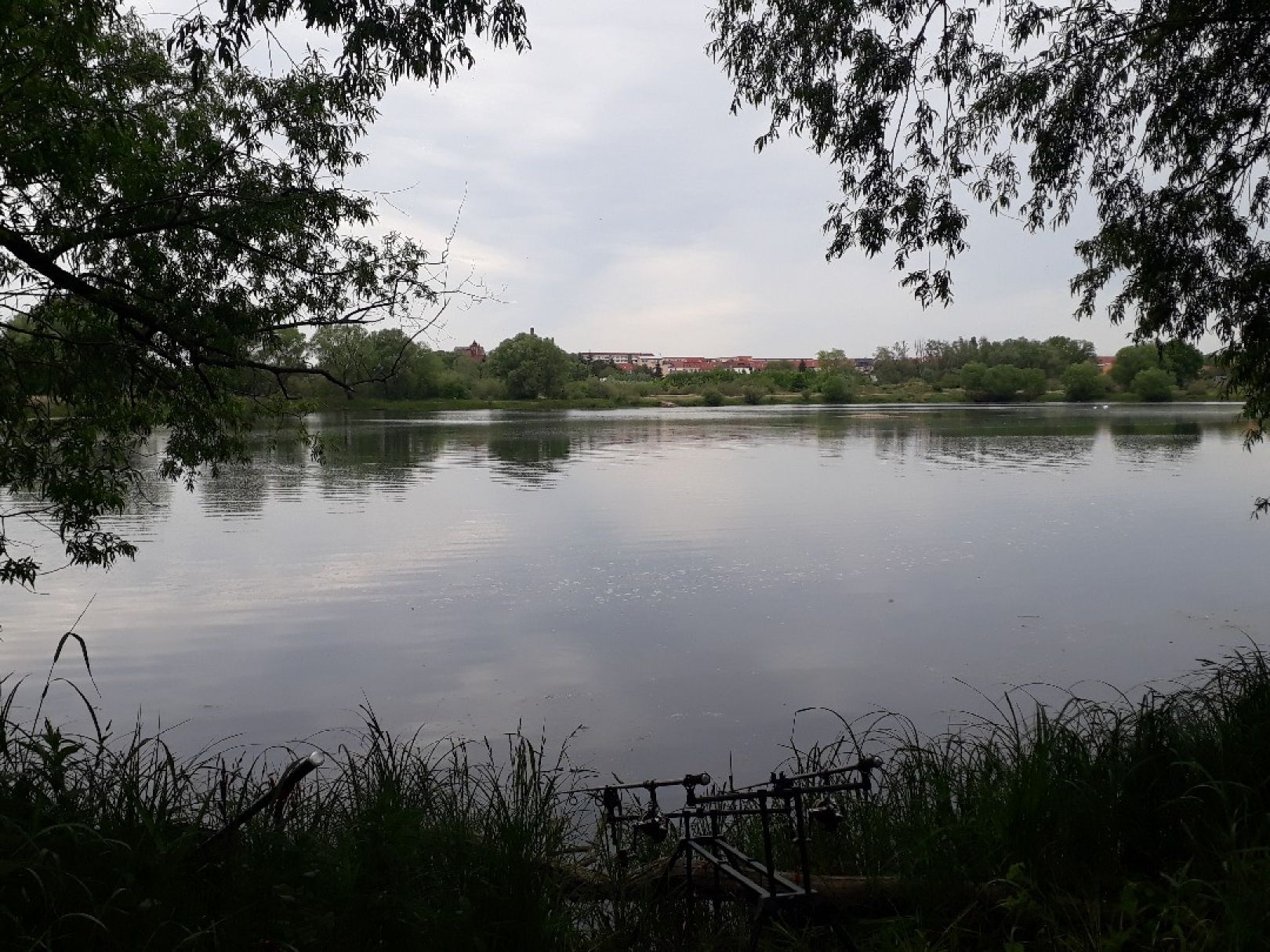 Neues Kiesloch (Tangermünde) angeln