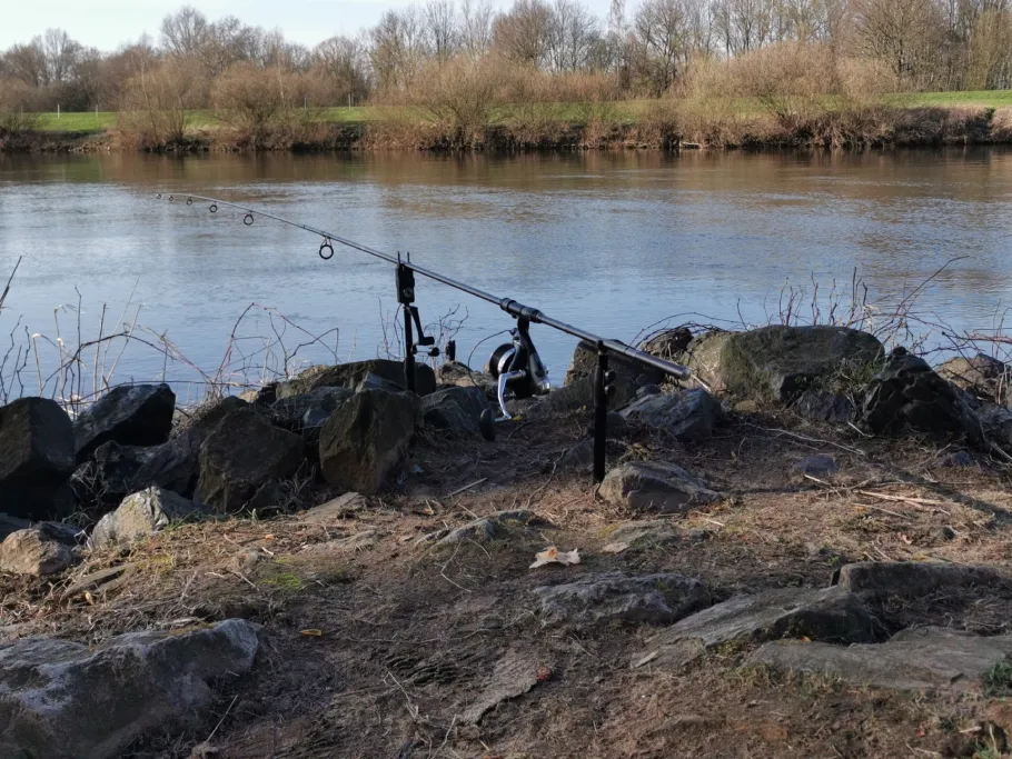 Weser (Nienburg) angeln