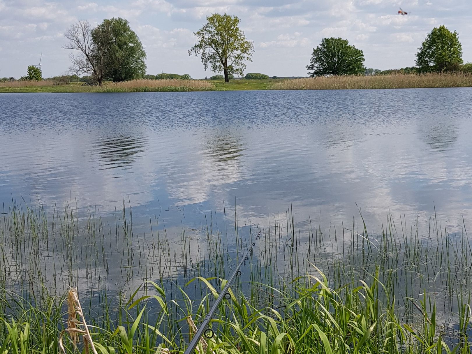 Fichtenwiehl (Tangermünde) angeln