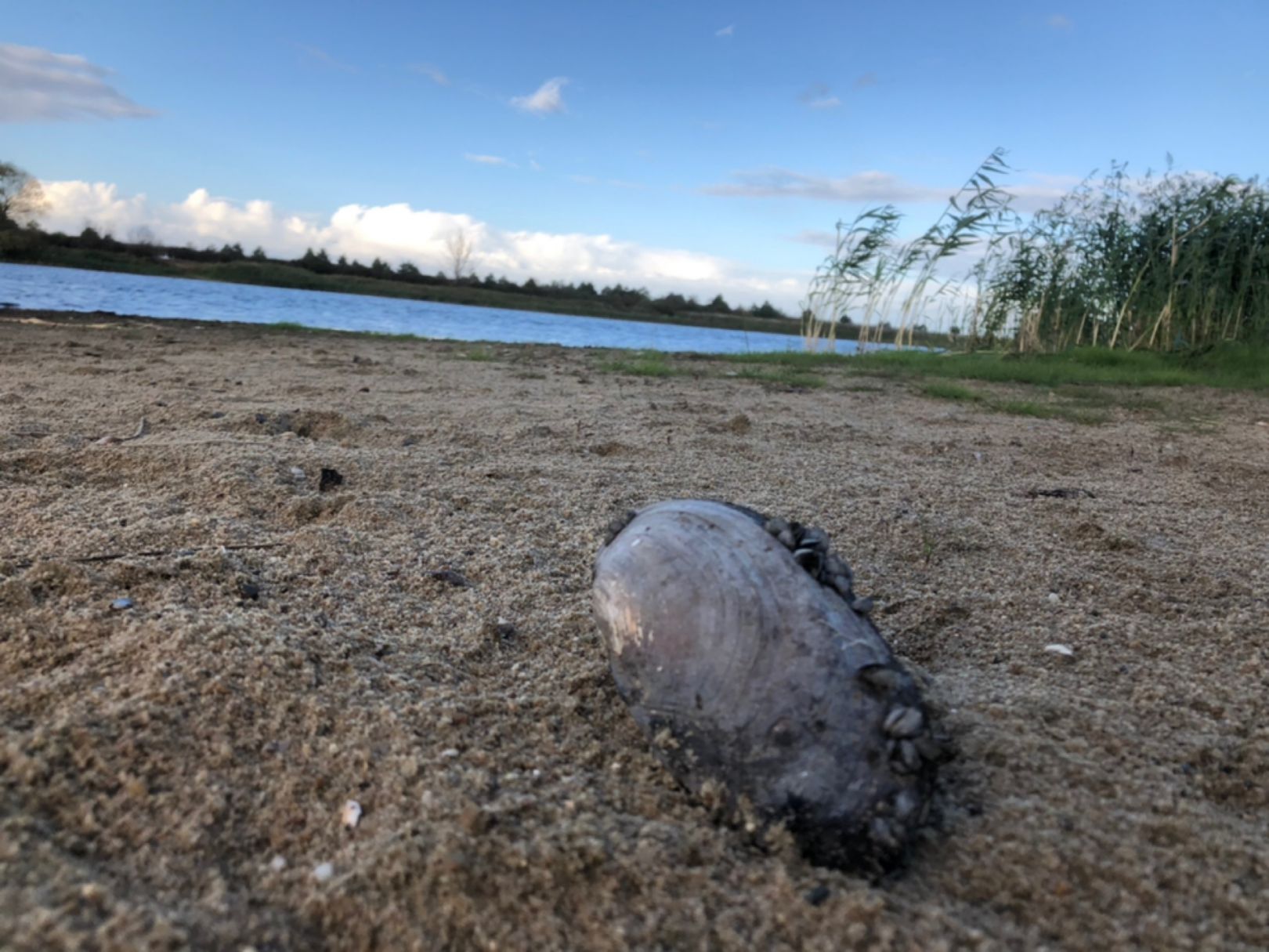 Fichtenwiehl (Tangermünde) angeln