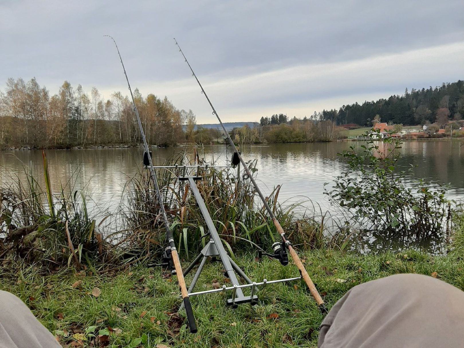 Erlauzwieseler See angeln