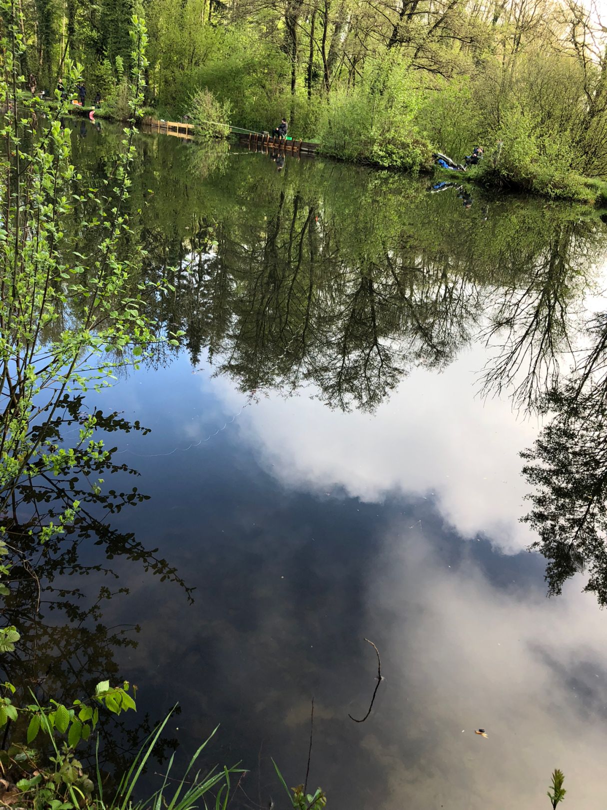 Kleiner Heidesee (Hachheide) angeln