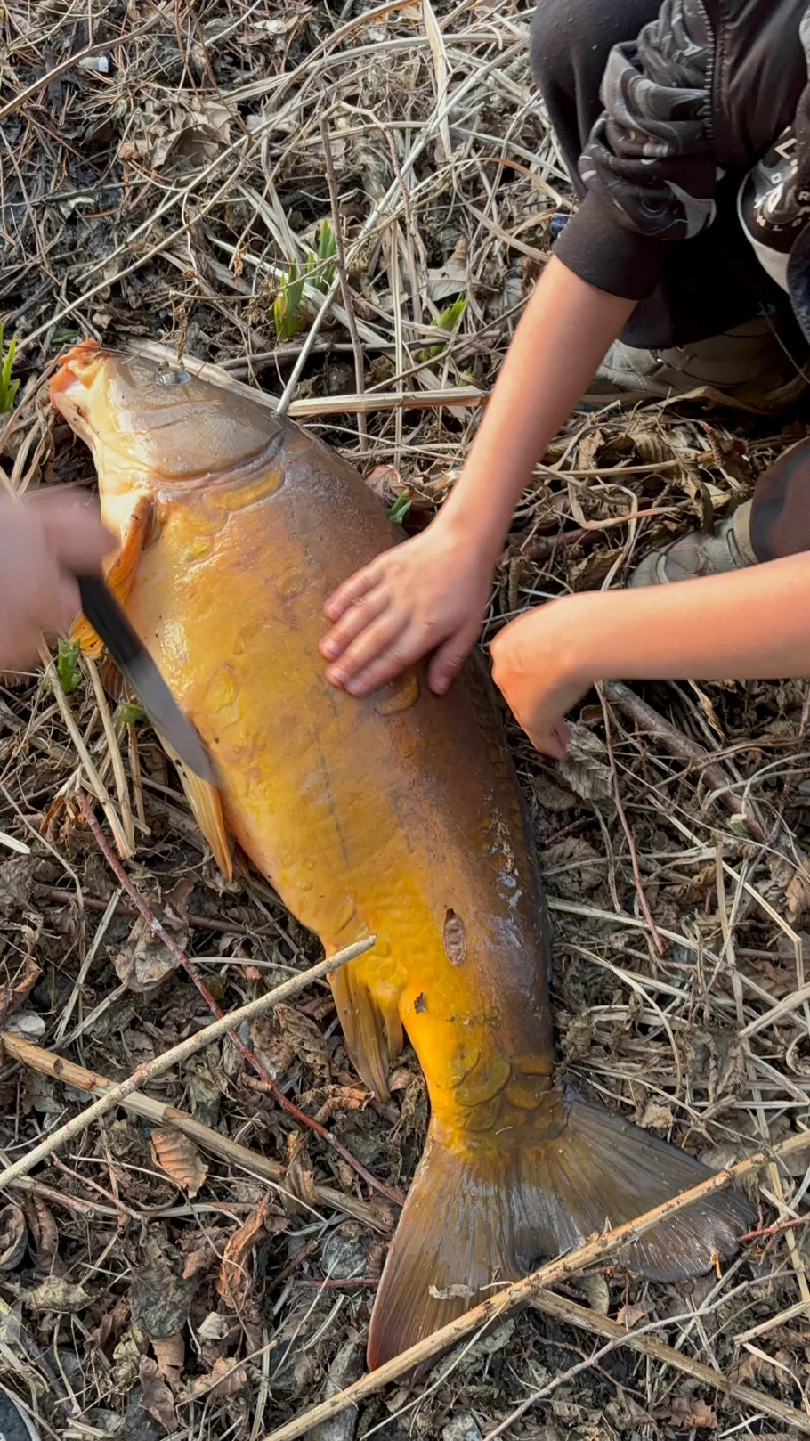 Privatteich LWL Soest angeln