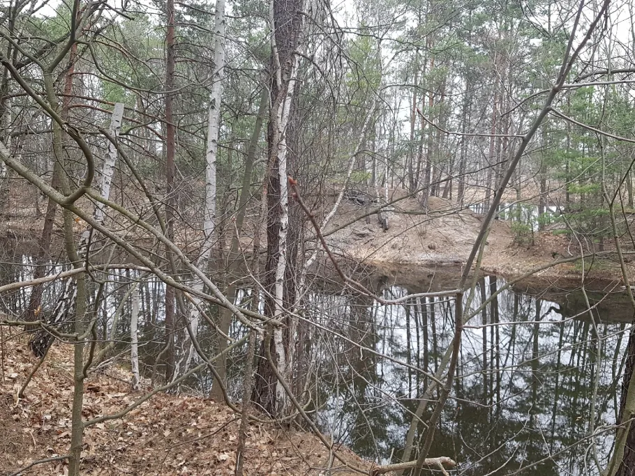 Tulpengrube (Liebegast) angeln