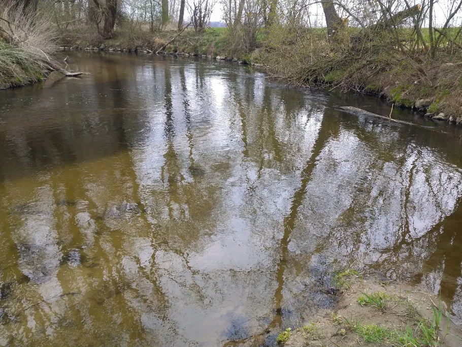 Ilm (Ilmendorf) angeln