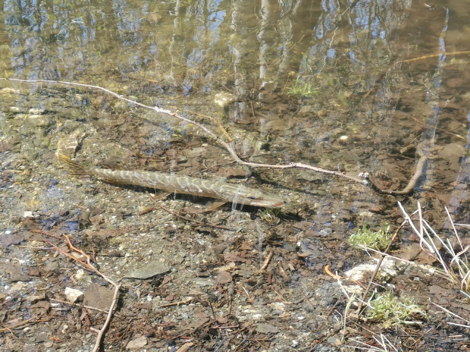 Schieferloch am Trockenwerk angeln