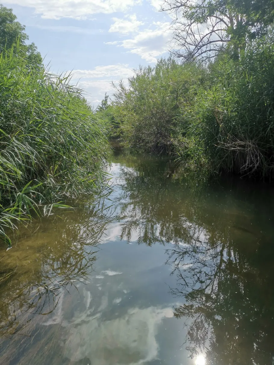 Kessel (Donauwörth) angeln