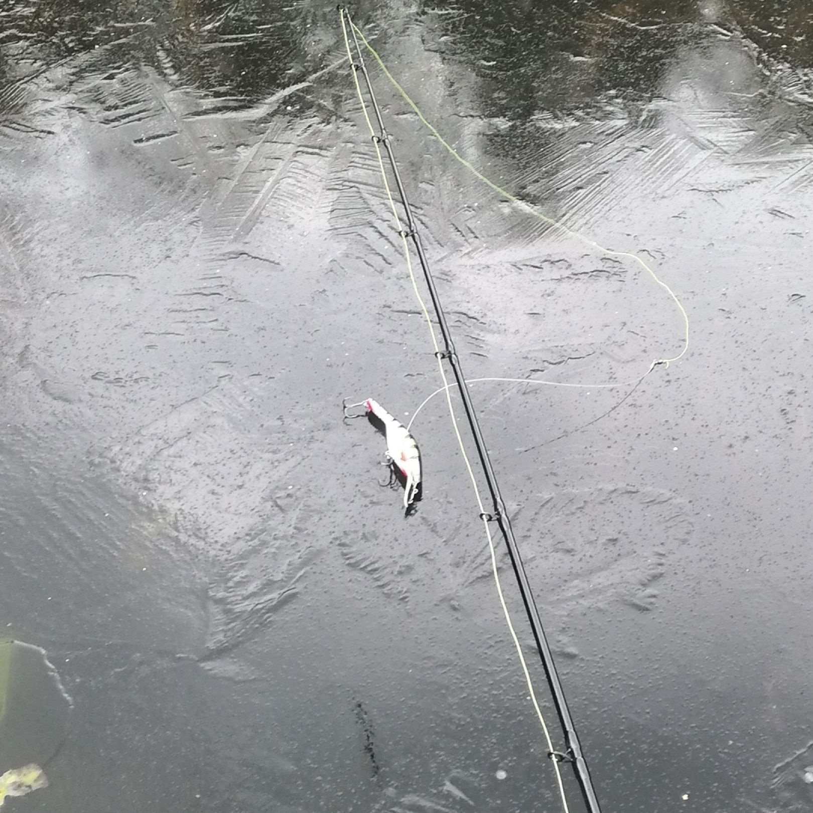 Kleiner Zermittensee angeln