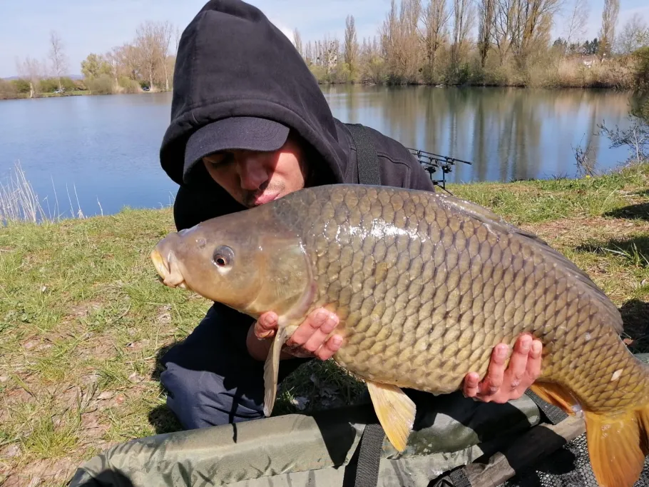 Étangs des Basse Ham angeln