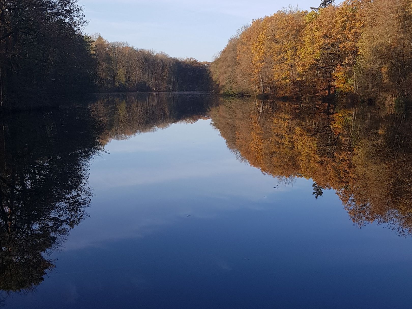 Holzmühlenteich (Flechtingen) angeln