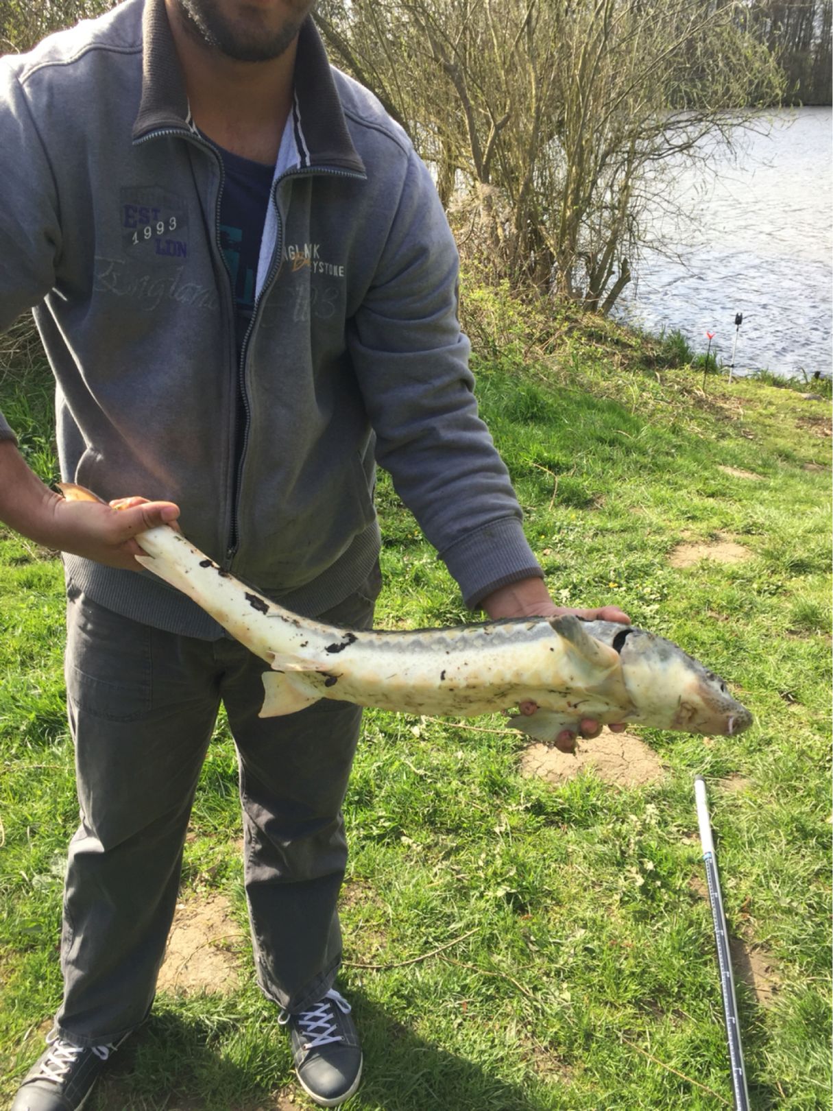 Flörkendorfer Mühlenteich angeln