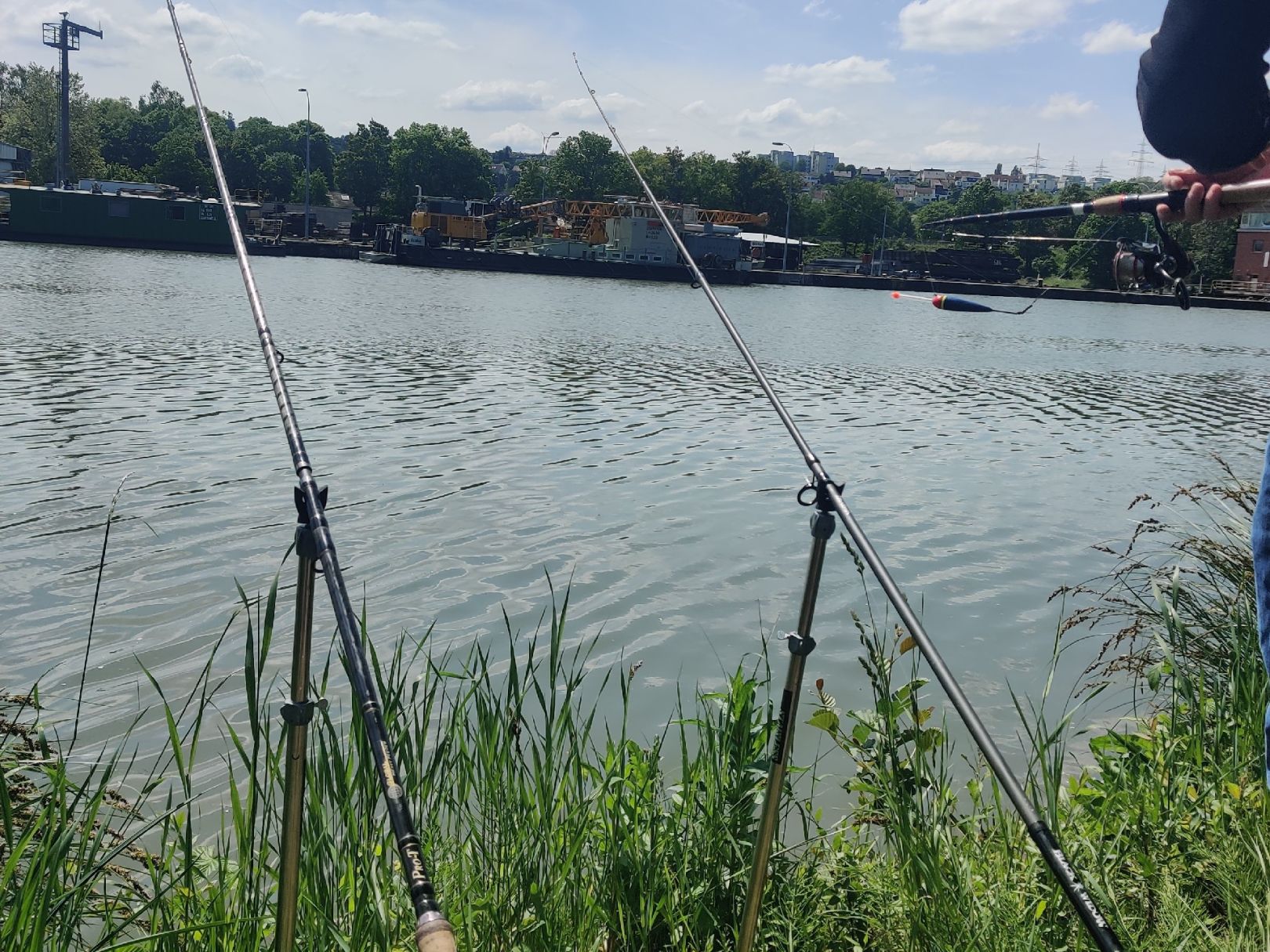Neckar (Wernau/Neckar) angeln