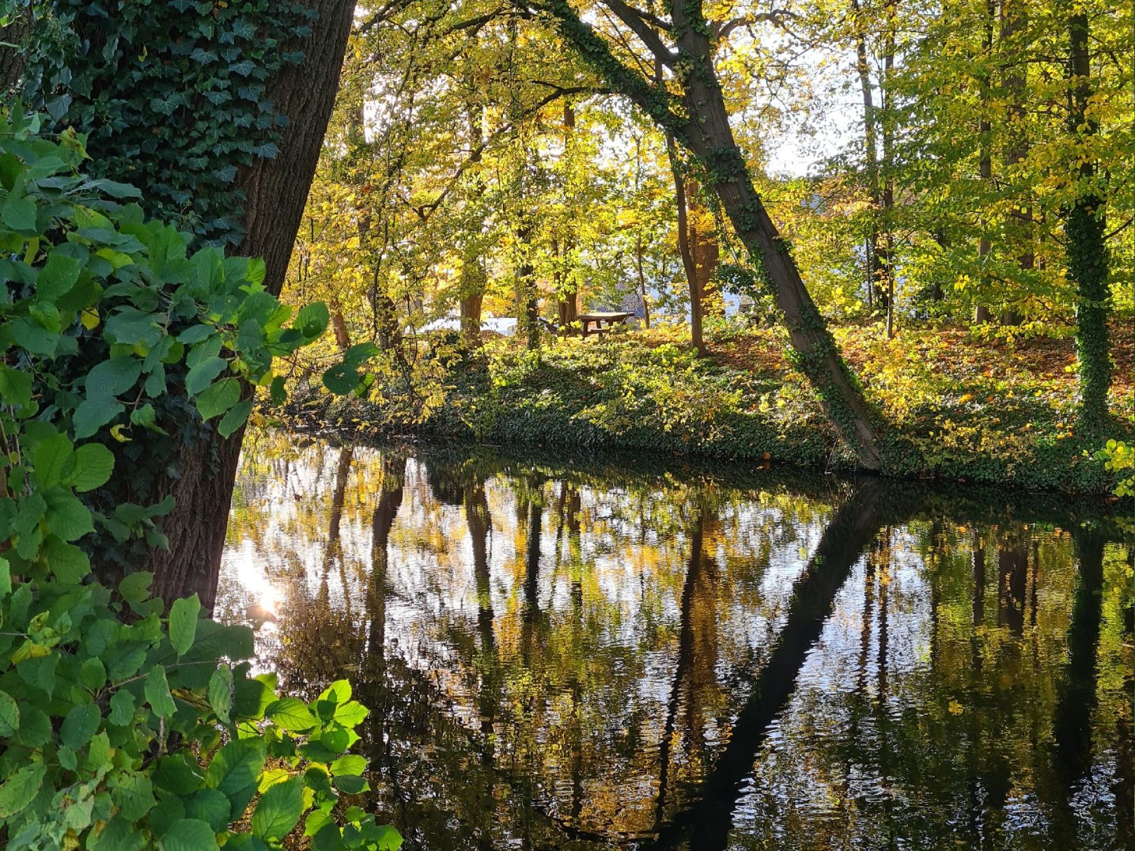 Burggraben Wittlage angeln