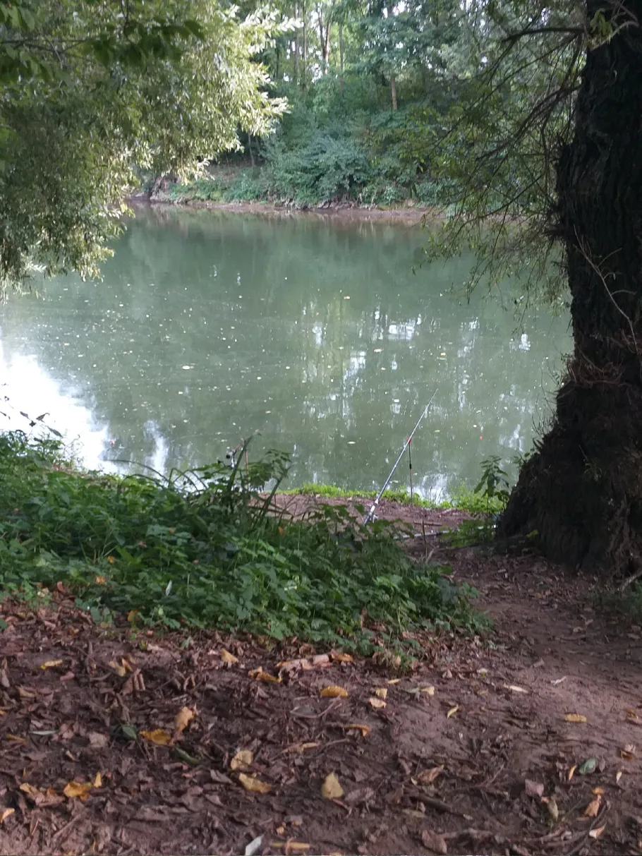 Aich (Nürtingen) angeln