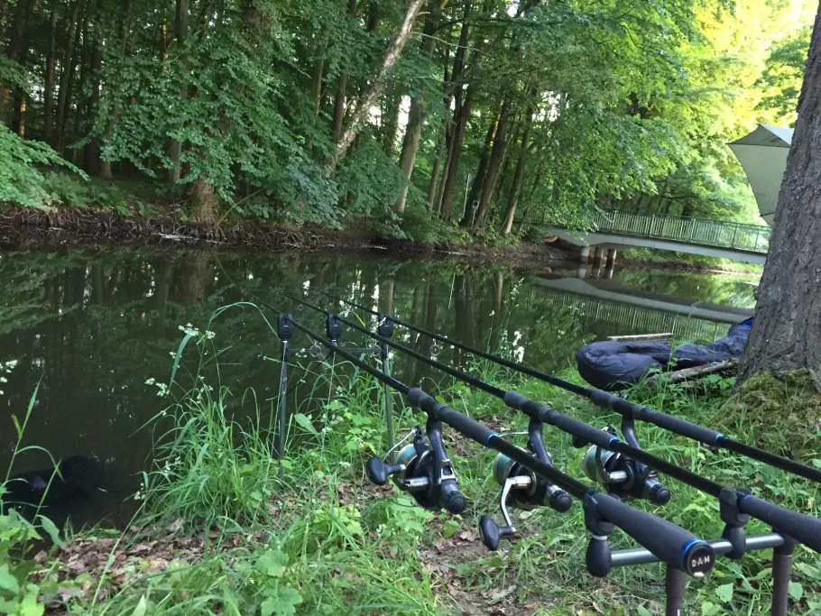 Hessel (Sassenberg) angeln