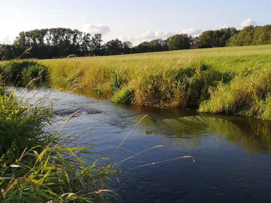 Ohlau (Lentföhrden) angeln