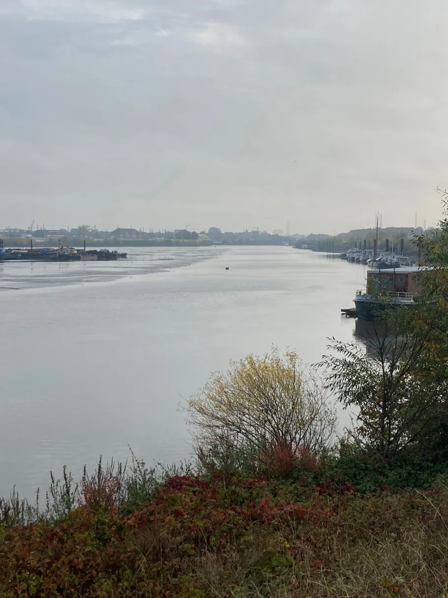 Spreehafen (Hamburg-Veddel) angeln