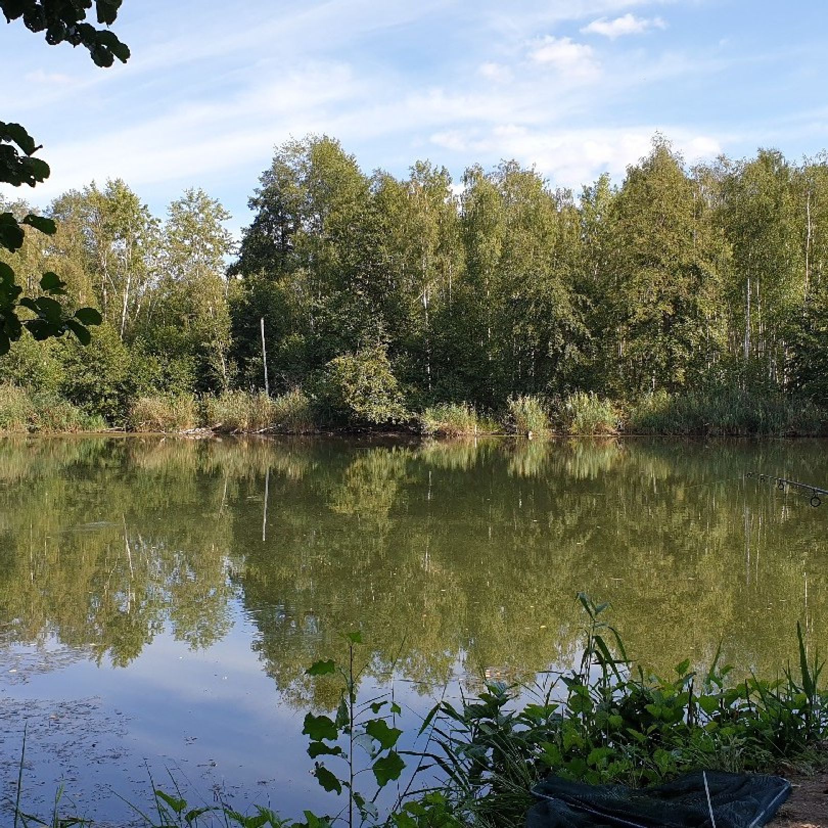 Kiesgruben Vogelsang angeln