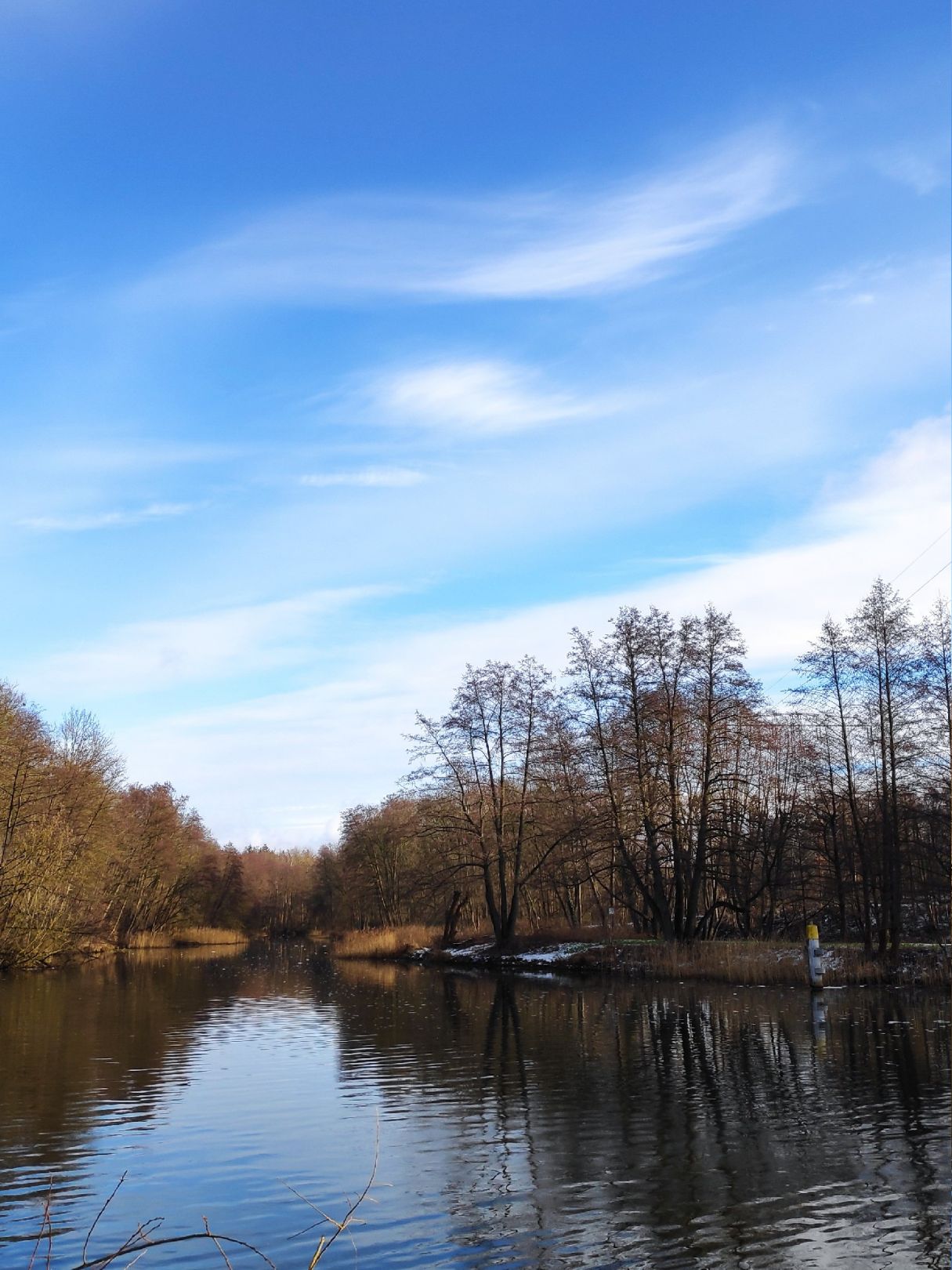 Finowkanal (Eberswalde) angeln