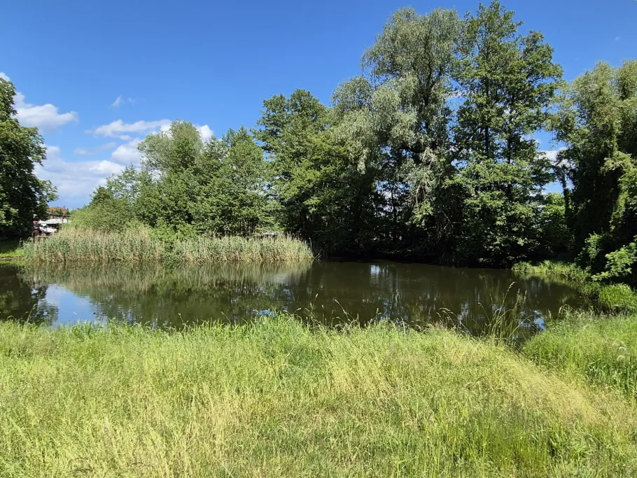 Dorfteich (Zapel) angeln