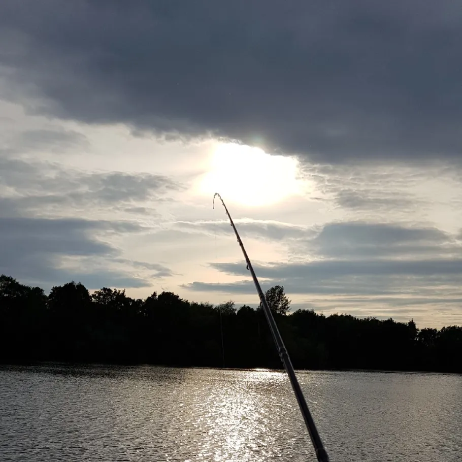 Ellernbruchsee angeln