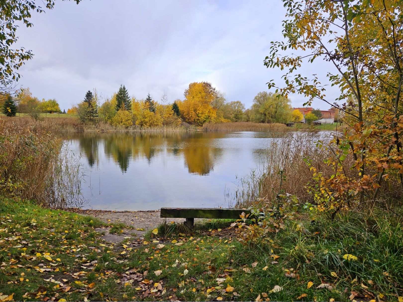 Röthsee (Schönwalde) angeln