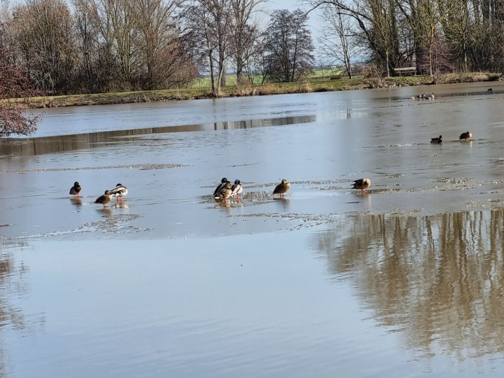 Angeln in Ergersheim