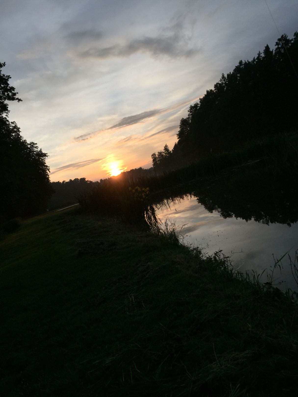 Oberndorfer Weiher (Erlangen) angeln