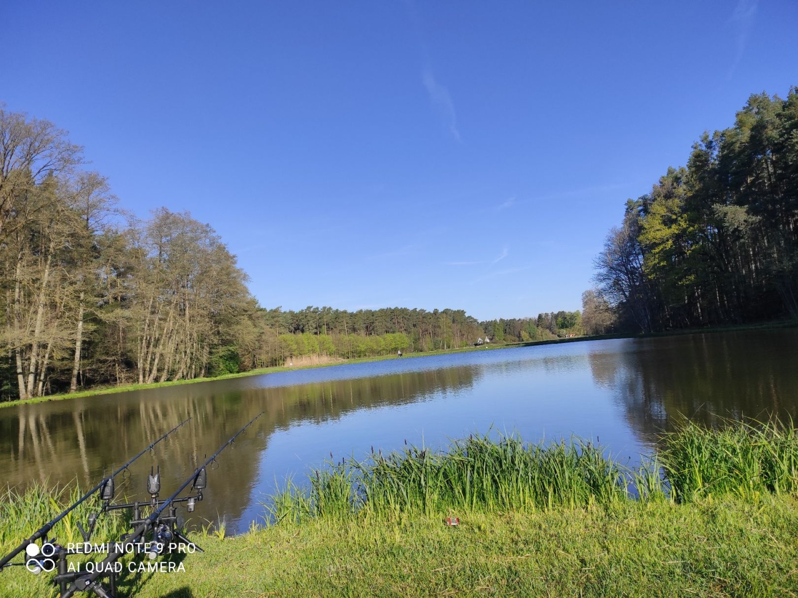 Oberndorfer Weiher (Erlangen) angeln