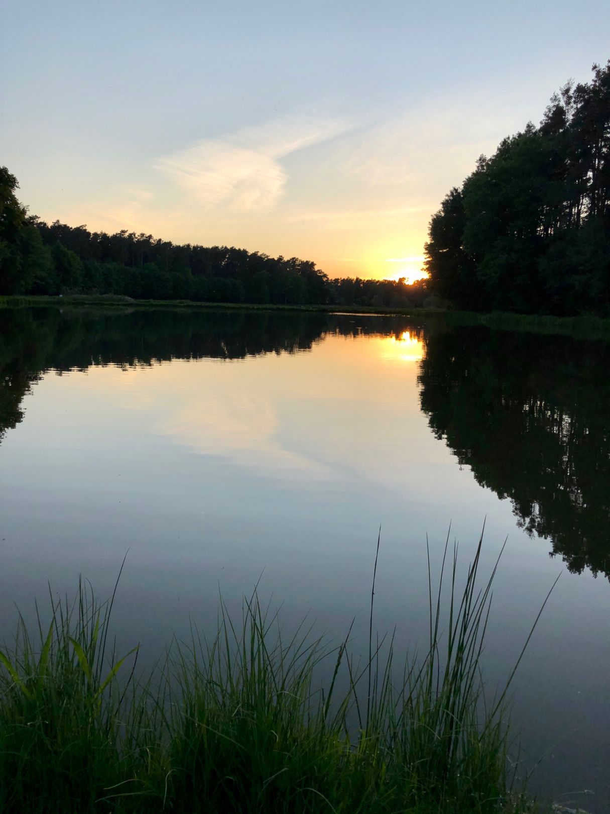 Oberndorfer Weiher (Erlangen) angeln