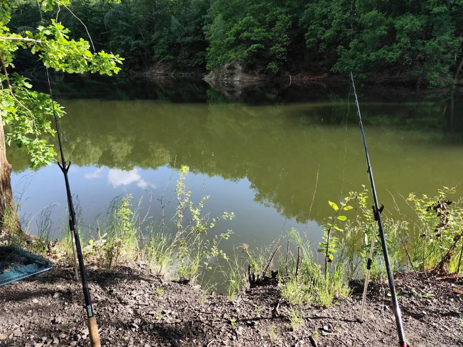Steinbruch (Zeisigwald) angeln