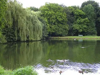 Kopfweiher (Benrath) angeln