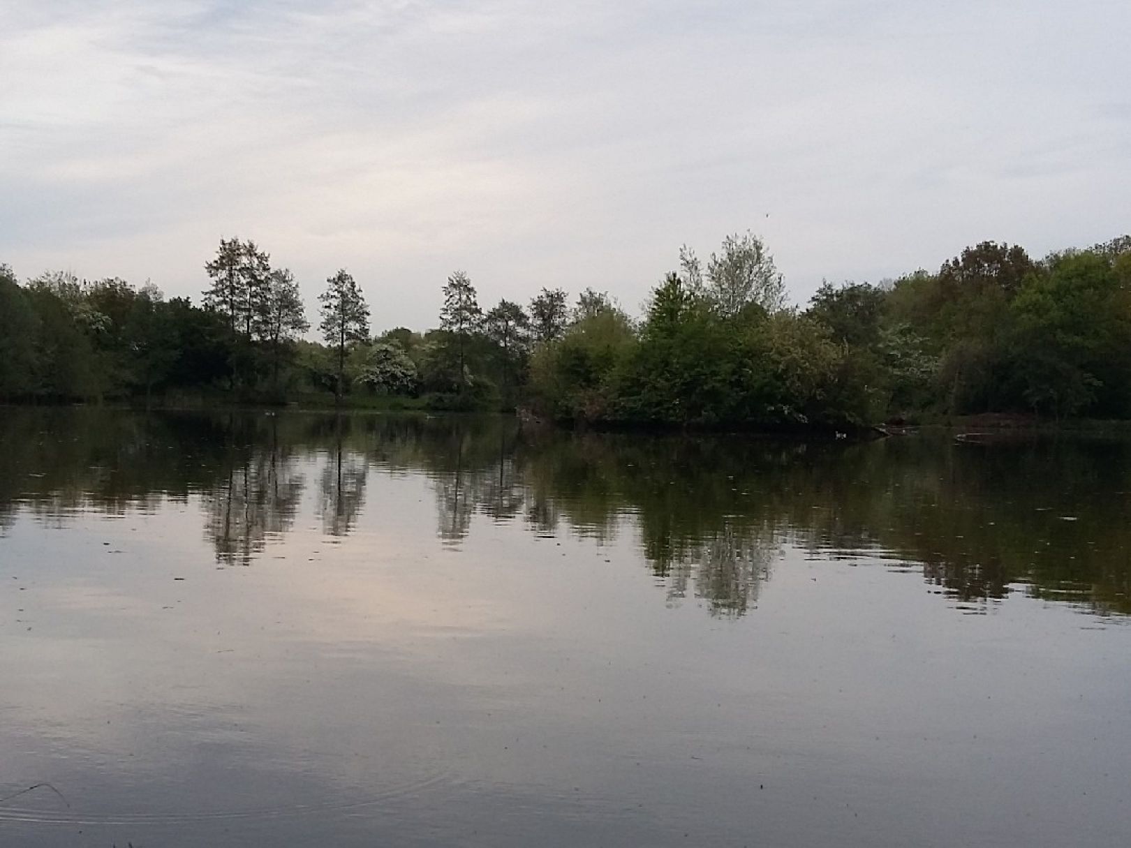 Quellenteich (Braunschweig) angeln