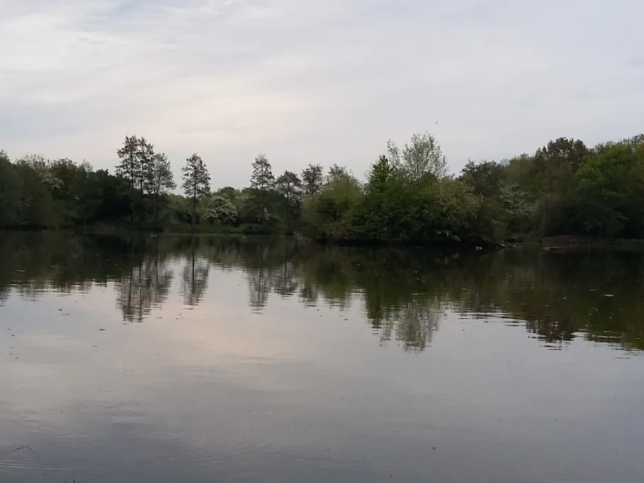 Quellenteich (Braunschweig) angeln