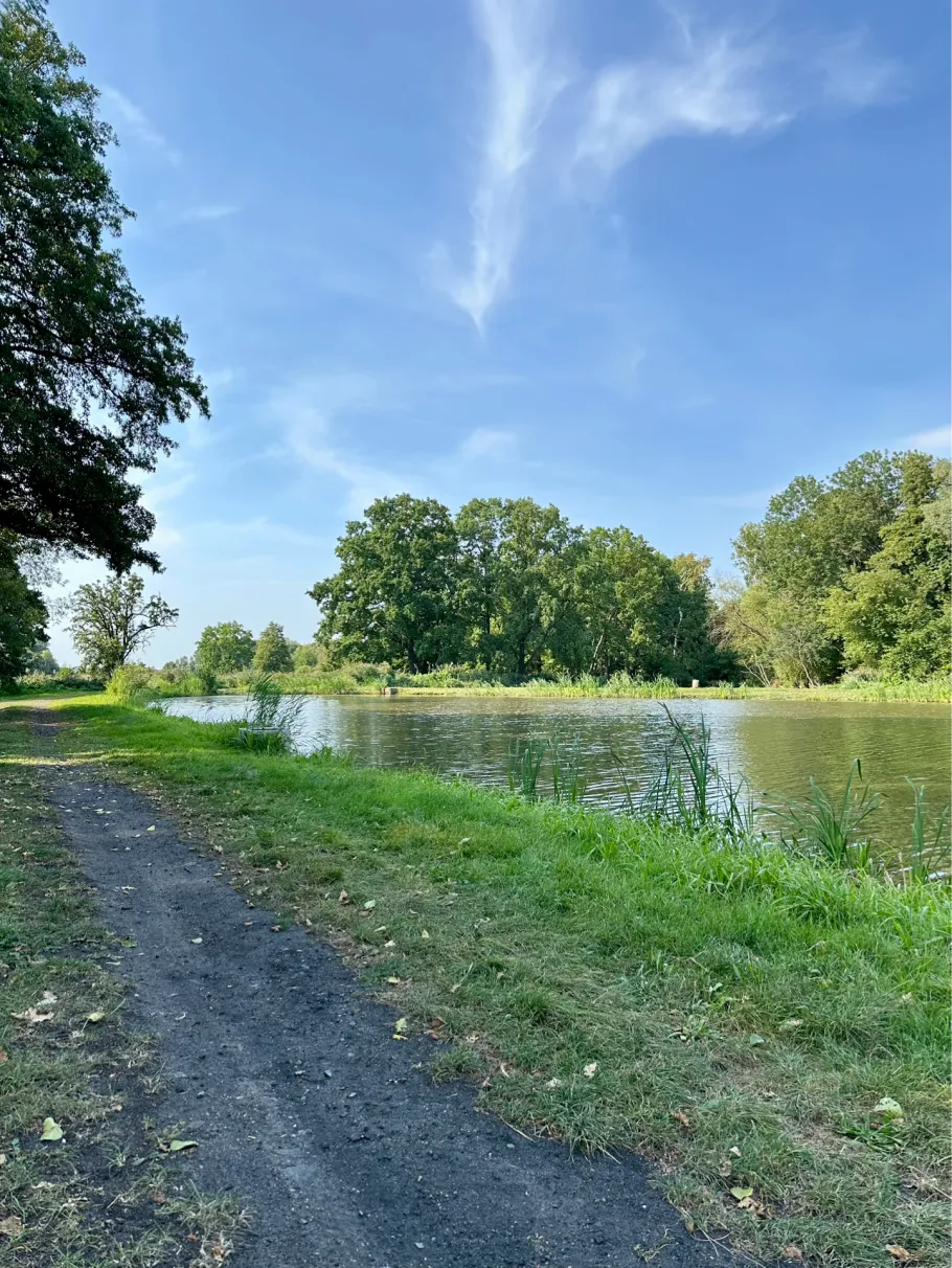 Angelteich Sergen angeln