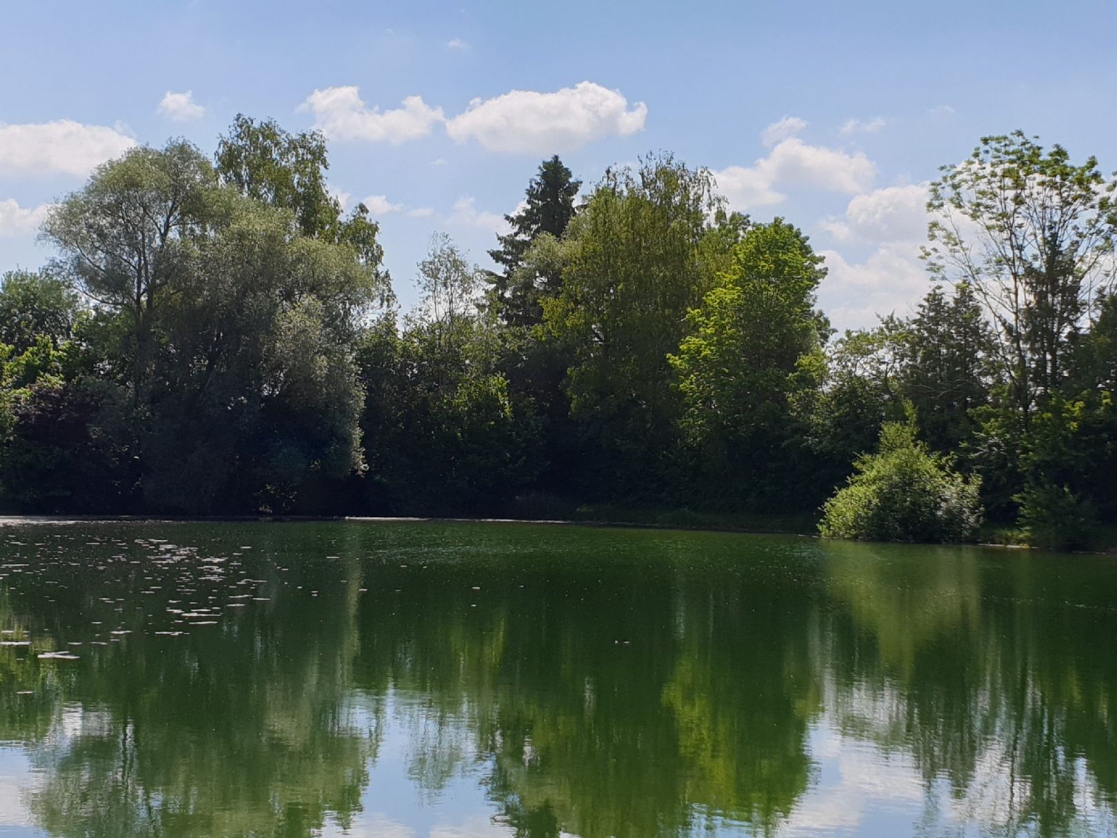 Gündinger Weiher angeln